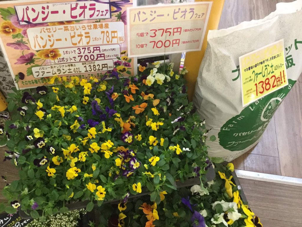 八戸ショッピングセンター ラピア